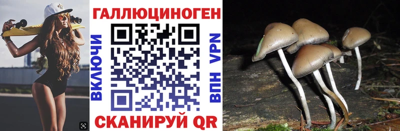 Псилоцибиновые грибы MAGIC MUSHROOMS  Купить  Буйнакск 